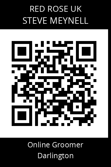 QR code for steve-meynell