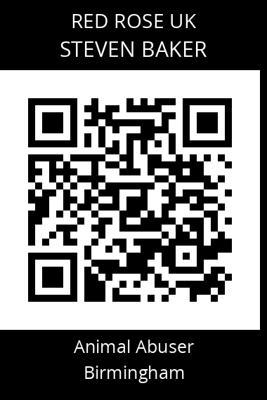 QR code for steven-baker-3