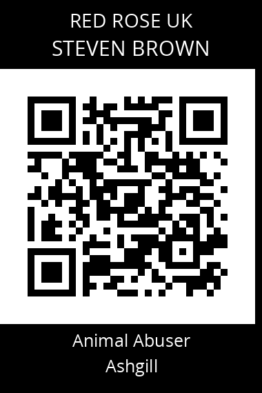 QR code for steven-brown-7