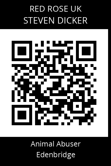 QR code for steven-dicker