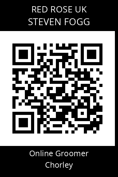 QR code for steven-fogg