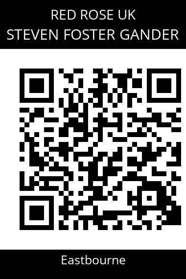QR code for steven-foster-gander