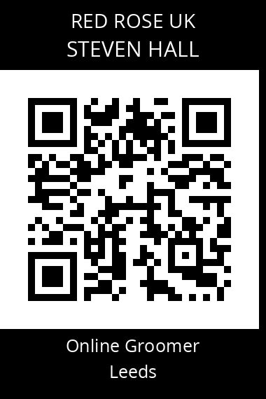 QR code for steven-hall-1