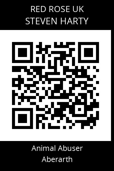 QR code for steven-harty