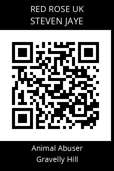 QR code for steven-jaye