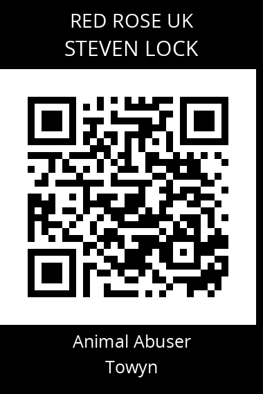 QR code for steven-lock
