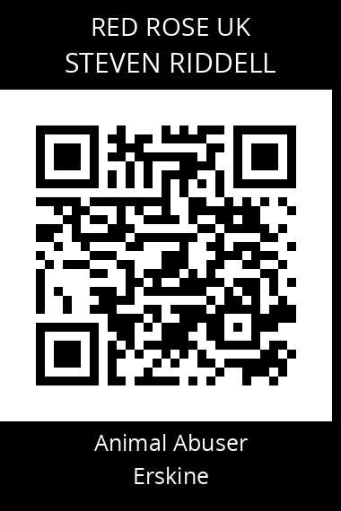 QR code for steven-riddell