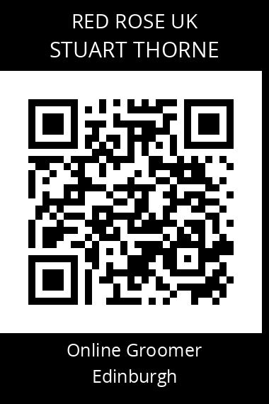 QR code for stuart-thorne