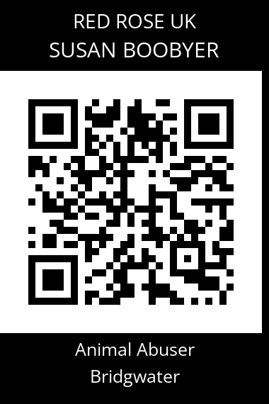 QR code for susan-boobyer