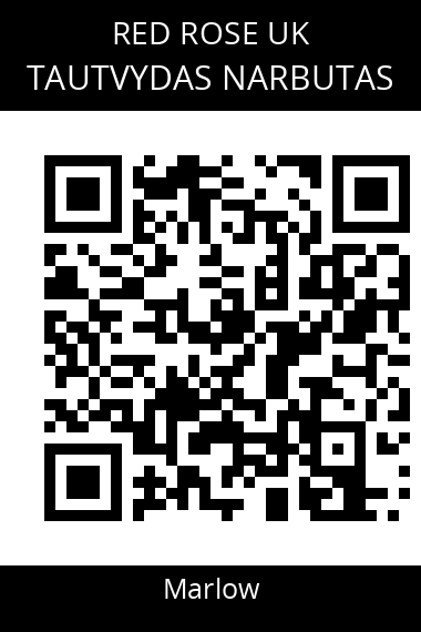 QR code for tautvydas-narbutas