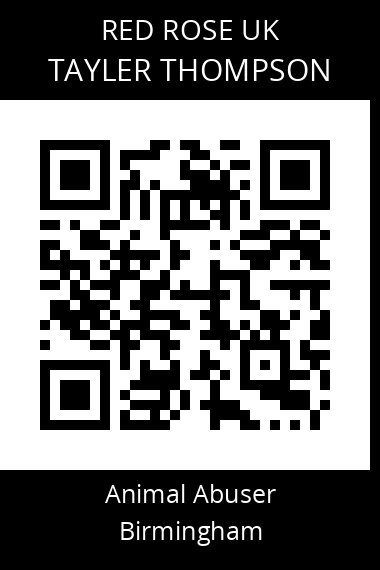 QR code for tayler-thompson1
