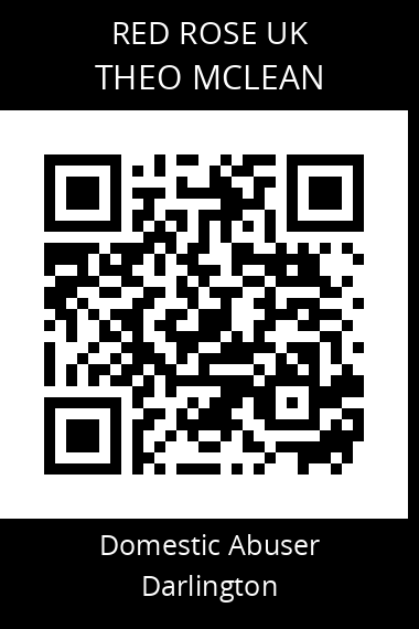QR code for theo-mclean