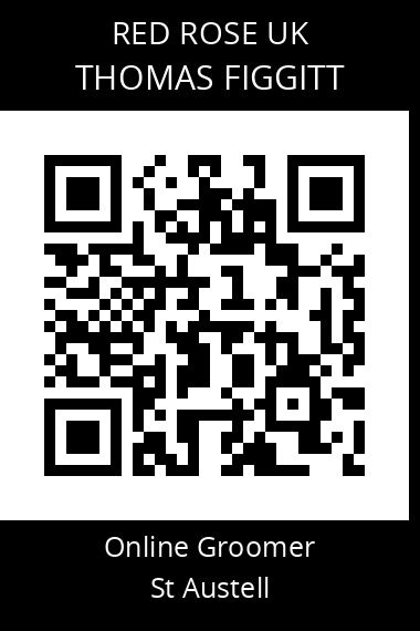 QR code for thomas-figgitt