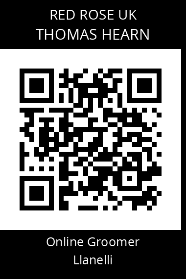 QR code for thomas-hearn-2
