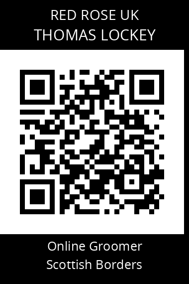 QR code for thomas-lockey