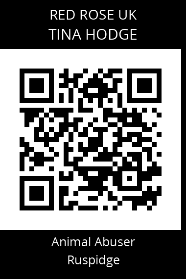 QR code for tina-hodge