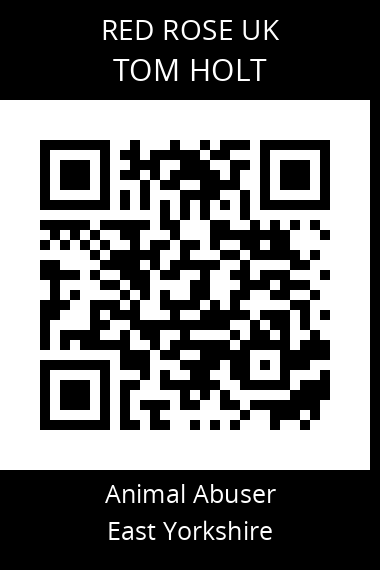QR code for tom-holt