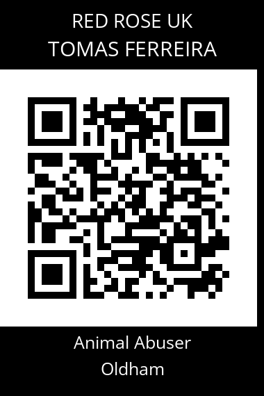 QR code for tomas-ferreira