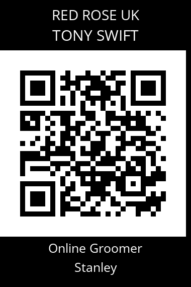 QR code for tony-swift