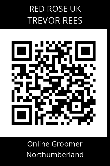 QR code for trevor-rees-1