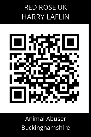 QR code for unknown-25