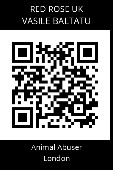 QR code for vasile-baltatu