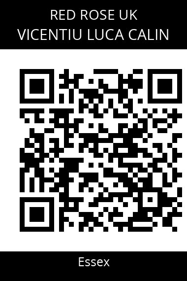 QR code for vicentiu-luca-calin