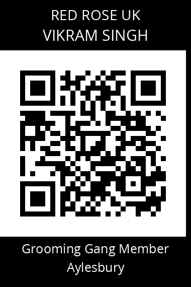 QR code for vikram-singh