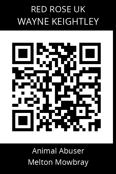QR code for wayne-keightley