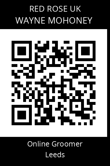 QR code for wayne-mohoney