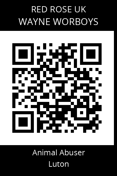 QR code for wayne-worboys