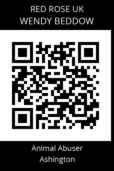 QR code for wendy-beddow