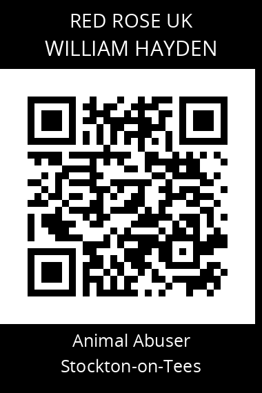 QR code for william-hayden