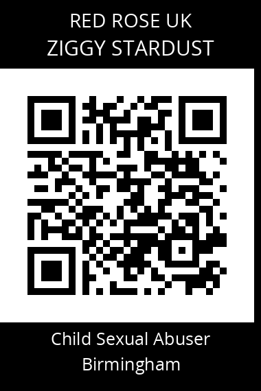 QR code for ziggy-stardust