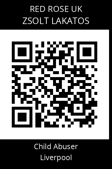QR code for zsolt-lakatos